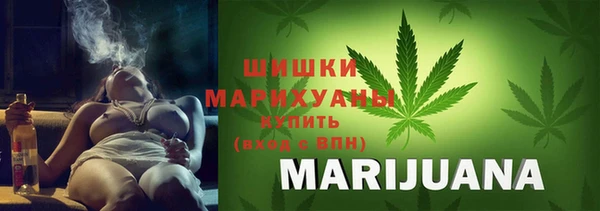тгк Чекалин