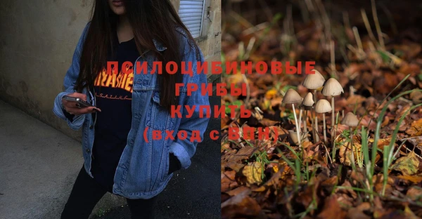 метамфетамин Каменка